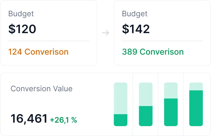 Google Ads Budget Optimization